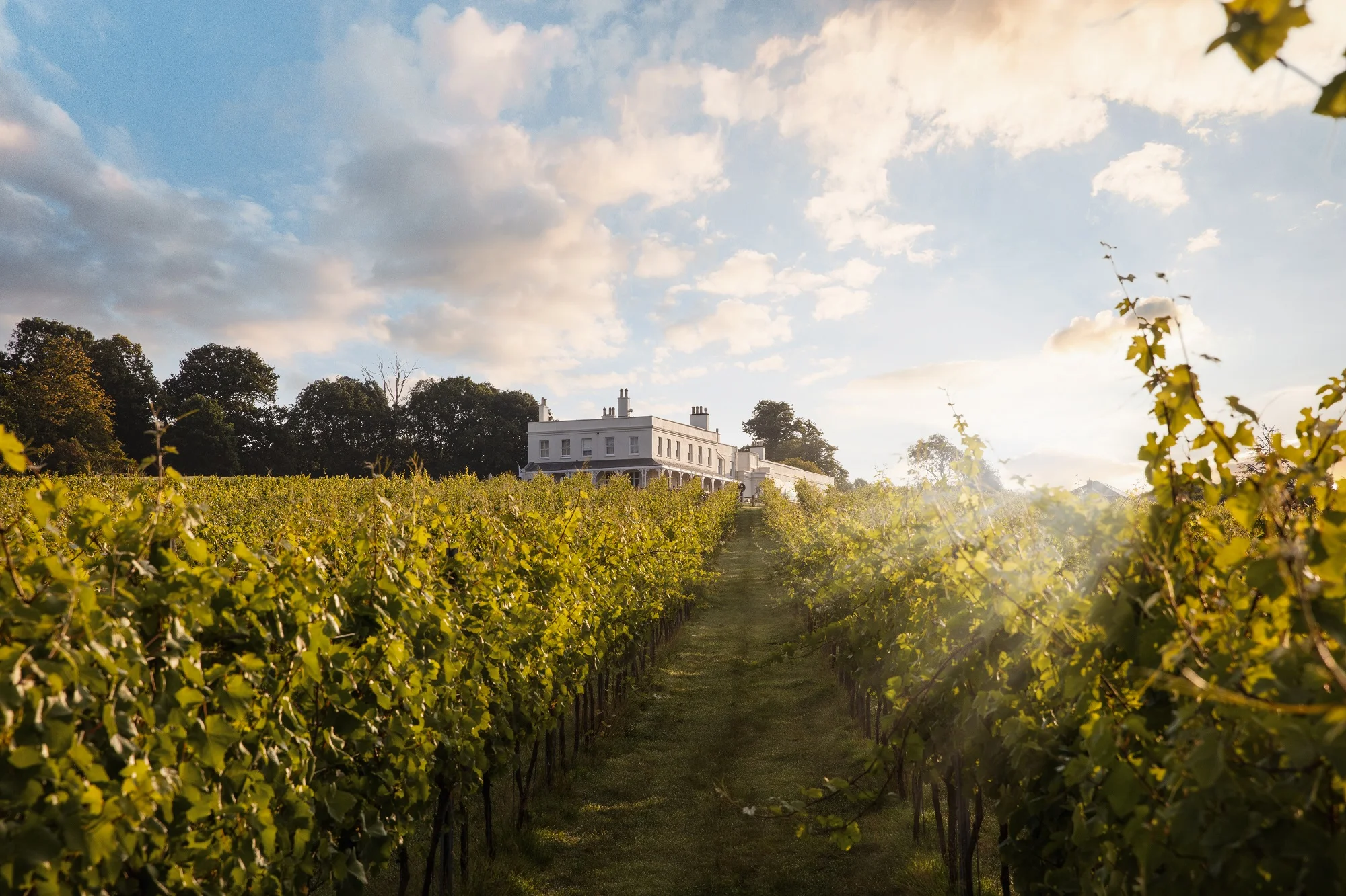 Lympstone Manor Case Study